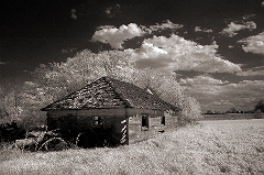 Abandoned Farm 3